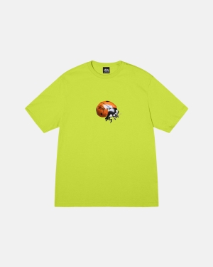 Stussy Ladybug Loopshirts Keylime | 149682JBS