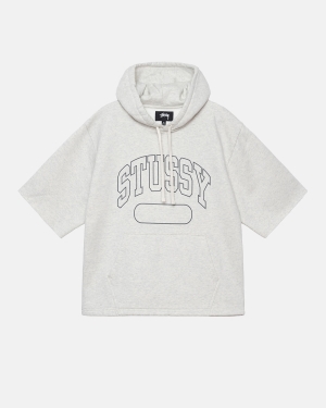 Stussy Ss Boxy Cropped Hoodie Grijs | 350482EPG